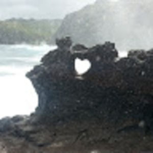 Meet your Posher, Tamara